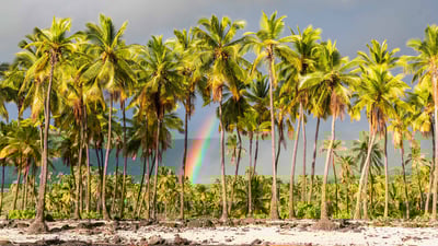 Bing wallpaper April 3, 2023. Pu'uhonua o Hōnaunau National Historical Park, Big Island, Hawaii (© Westend61/Getty Images)