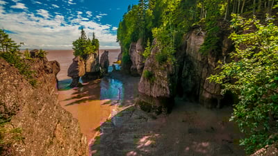 Bing wallpaper May 25, 2021. Geological site of Hopewell Rocks in New Brunswick (© YAY Media AS/Alamy)
