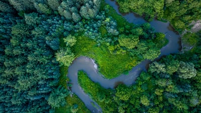 Bing wallpaper May 31, 2026. Humber River winding through Boyd Conservation Area, Woodbridge, Vaughan, Ontario (© jimfeng/Getty Images)
