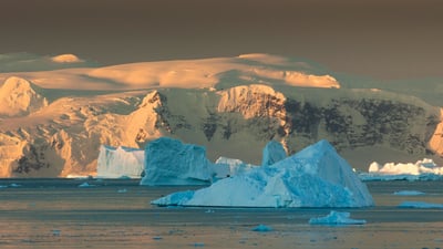 Bing wallpaper December 1, 2024. Icebergs, Antarctica (© Art Wolfe/DanitaDelimont.com)