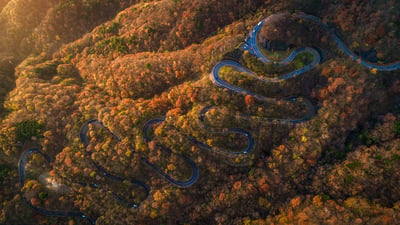 Bing wallpaper November 14, 2025. Route d'Irohazaka en automne, Nikkō, Tochigi, Japon (© oneinchpunch/Shutterstock)
