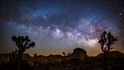 Bing wallpaper April 28, 2023. Milky Way over Joshua Tree National Park, California (© Schroptschop/Getty Images)