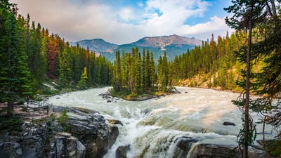 Bing wallpaper June 2, 2020. Sunwapta Falls in Jasper National Park, Canada (© Schroptschop/Getty Images)