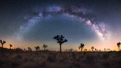 Bing wallpaper April 21, 2025. Joshua trees under the Milky Way, California (© Chao Zhang/Getty Images)