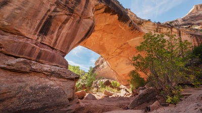 Bing wallpaper April 16, 2025. Kachina Bridge, Natural Bridges National Monument, Utah (© Alan Majchrowicz/Getty Images)