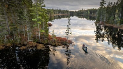 Bing wallpaper August 24, 2024. Katahdin Woods and Waters National Monument, Penobscot County, Maine (© Cavan Images/Alamy)