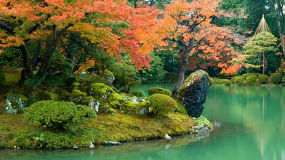 Bing wallpaper November 21, 2025. 兼六園, 石川県 金沢市 (© Darby Sawchuk/Alamy)