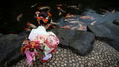 Bing wallpaper November 14, 2021. 着物姿の女の子, 日本 （© Hakase_/Getty Images）