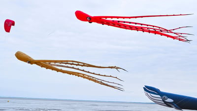 Bing wallpaper April 19, 2019. Des cerfs volants poulpes au Festival International du cerf-volant et du vent, Chatelaillon-Plage, France (© vicar/Alamy Stock Photo)
