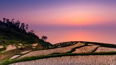 Bing wallpaper April 18, 2020. ｢白米千枚田の夕日｣石川, 輪島市 (© M Andy/Shutterstock)