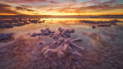 Bing wallpaper July 25, 2023. Laguna de Torrevieja, Alicante, Spain (© Juan Maria Coy Vergara/Getty Images)