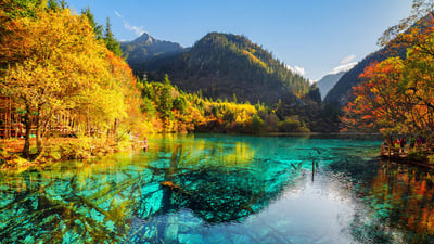 Bing wallpaper August 7, 2023. 五花海，阿坝九寨沟旅游景区，四川省，中国 (© Michael Ver Sprill/Getty Images)