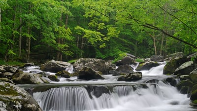 Bing wallpaper May 30, 2025. Little Pigeon River, Great Smoky Mountains National Park, Tennessee (© GreenStock/Getty Images)