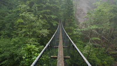 Bing wallpaper March 25, 2026. Pont suspendu de Logan Creek, Sentier de la Côte-Ouest, Canada (© Tandem Stock/Adobe Stock)