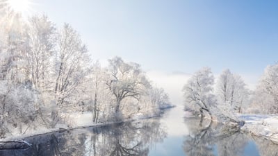 Bing wallpaper December 31, 2025. Frostbedeckte Bäume entlang des Flusses Loisach, Kochelsee, Bayern (© Malorny/Getty Images)
