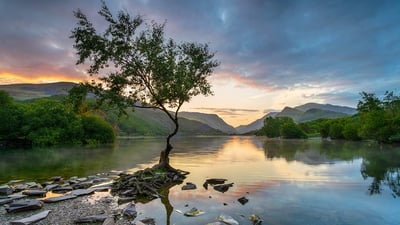 Bing wallpaper April 30, 2020. Sunrise at Llyn Padarn at Llanberis, Snowdonia National Park (© Helen Hotson/Alamy Stock Photo)
