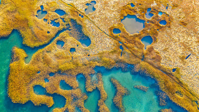 Bing wallpaper March 11, 2023. Marshland, Gloucester, Massachusetts (© Thomas H. Mitchell/Getty Images)