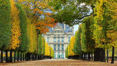 Bing wallpaper November 7, 2019. Jardin des Tuileries in autumn, leading to the Louvre Museum in Paris, France (© Brian A. Jackson/Getty Images Plus)
