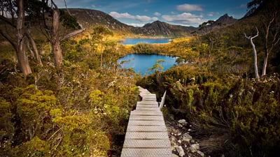 Bing wallpaper March 26, 2021. Cradle Mountain-Lake St. Clair National Park, Tasmania, Australia (© Paparwin Tanupatarachai/Getty Images)