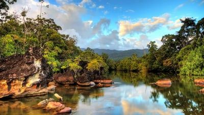 Bing wallpaper June 5, 2024. Masoala National Park in Madagascar (© Dennis van de Water/Shutterstock)