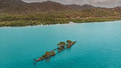 Bing wallpaper March 19, 2021. Aerial view of the City of Adelaide shipwreck with trees growing on it, Magnetic Island, Queensland, Australia (© Amazing Aerial Agency/Offset by Shutterstock)