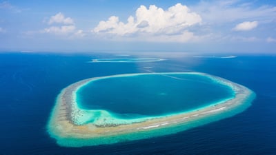 Bing wallpaper January 23, 2024. Atolls in Indian Ocean, Maldives (© Amazing Aerial Premium/Shutterstock)