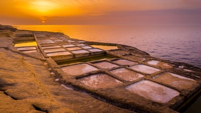 Bing wallpaper February 4, 2026. Les marais salants de Gozo, Malte (© Marius Roman/Getty Images)
