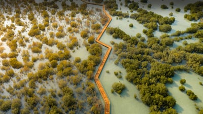 Bing wallpaper July 26, 2023. Jubail Mangrove Park in Abu Dhabi, United Arab Emirates (© Amazing Aerial Premium/Shutterstock)