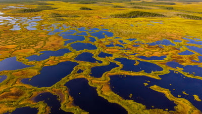Bing wallpaper October 25, 2025. Aerial view of peatland in Martimoaapa Mire Reserve, Finland (© romikatarina/Shutterstock)