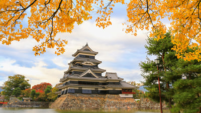 Bing wallpaper November 9, 2025. 松本城, 長野県 松本市 (© Sangchai Olanrittinunt/Shutterstock)