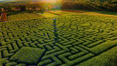 Bing wallpaper October 28, 2020. ｢コーンメイズ｣米国ペンシルバニア州, セイラーズバーグ (© Alex Potemkin/Getty Images)