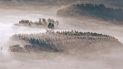 Bing wallpaper December 28, 2020. Mit Tannen und Fichten bewaldete Hügel bei Meschede, Sauerland, Nordrhein-Westfalen (© imageBROKER/Alamy Stock Photo)