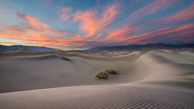 Bing wallpaper July 6, 2025. Mesquite Flat Sand Dunes in Death Valley National Park, California (© Bryan Jolley/TANDEM Stills + Motion)