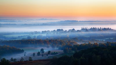 Bing wallpaper October 21, 2019. Ashdown Forest, East Sussex, United Kingdom (© Tim Stocker Photography/Getty Images)
