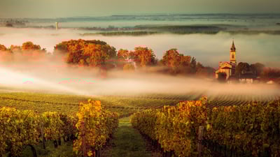 Bing wallpaper September 17, 2020. Bordeaux vineyard, France (© agefotostock/Alamy)