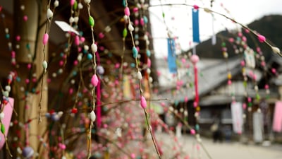 Bing wallpaper January 14, 2025. カラフルな餅花, 愛知県 豊田市 (© Photo taken by Bong Grit/Getty Images)