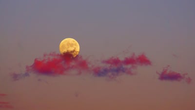 Bing wallpaper October 17, 2021. ｢夕焼けに映える月｣ (© kanzilyou/iStock/Getty Images Plus)