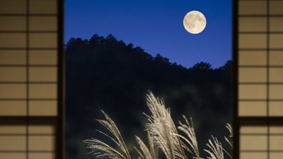 Bing wallpaper September 20, 2021. ｢月｣京都府 (© Aflo/Aflo Co., Ltd./Alamy Stock Photo)