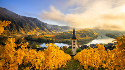 Bing wallpaper November 11, 2024. Kirchturm von Bremm an der Moselschleife, Rheinland-Pfalz (© Jan Wehnert/Shutterstock)