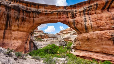 Bing wallpaper April 16, 2020. Sipapu Bridge in Natural Bridges National Monument, Utah (© Fyletto/Getty Images)