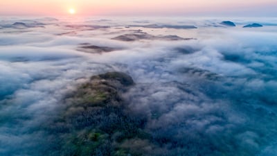 Bing wallpaper May 28, 2019. Fog along the coast, Newfoundland, Canada (© Scott Leslie/Minden Pictures)