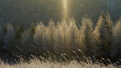 Bing wallpaper November 21, 2020. ｢霧ヶ峰のサンピラー｣長野, 八ヶ岳中信高原国定公園 (© Aflo Co. Ltd./Alamy Stock Photo)