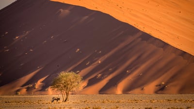 Bing wallpaper January 8, 2025. Sossusvlei sand dunes, Namib desert, Namibia (© Airpano/Amazing Aerial Agency)