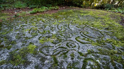Bing wallpaper June 21, 2023. Ancient rock carvings at Petroglyph Provincial Park in Nanaimo, Canada (© Chase Clausen/Shutterstock)