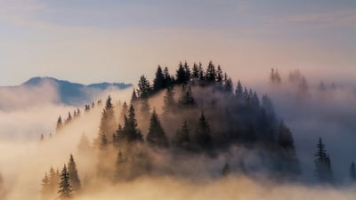 Bing wallpaper November 16, 2019. Fog shrouds the Bavarian Alps in Germany (© Anton Petrus/Getty Images)
