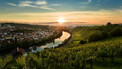 Bing wallpaper June 30, 2026. Sonnenuntergang über den Weinbergen von Steinhaldenfeld im Neckartal bei Stuttgart, Baden-Württemberg (© Cyril Gosselin/Getty Images)