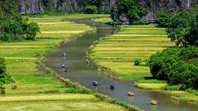 Bing wallpaper July 15, 2021. Boats float by rice fields on the Ngo Dong River in Ninh Bình province, Vietnam (© Jeremy Woodhouse/Getty Images)