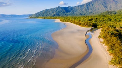 Bing wallpaper July 5, 2024. Noah Beach in Daintree Rainforest, Queensland, Australia (© bjeayes/Getty Images)