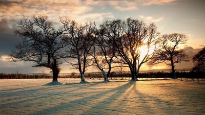 Bing wallpaper January 25, 2026. Northumberland, England (© Design Pics/John Short/Getty Images)