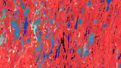 Bing wallpaper November 21, 2020. Wetlands in the Kitikmeot region of Nunavut (© Robert Simmon/NASA)